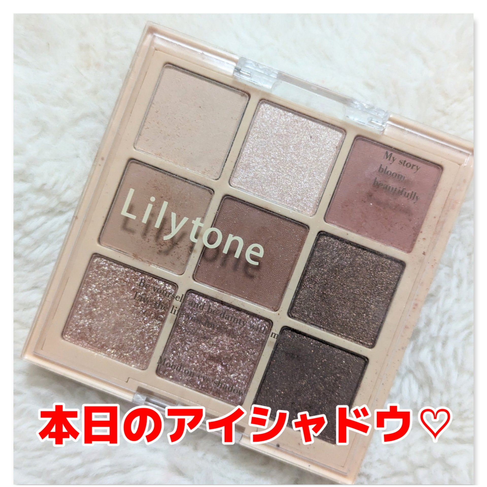ムードオンアイシャドウ/Lilytone/アイシャドウパレットを使ったクチコミ（1枚目）
