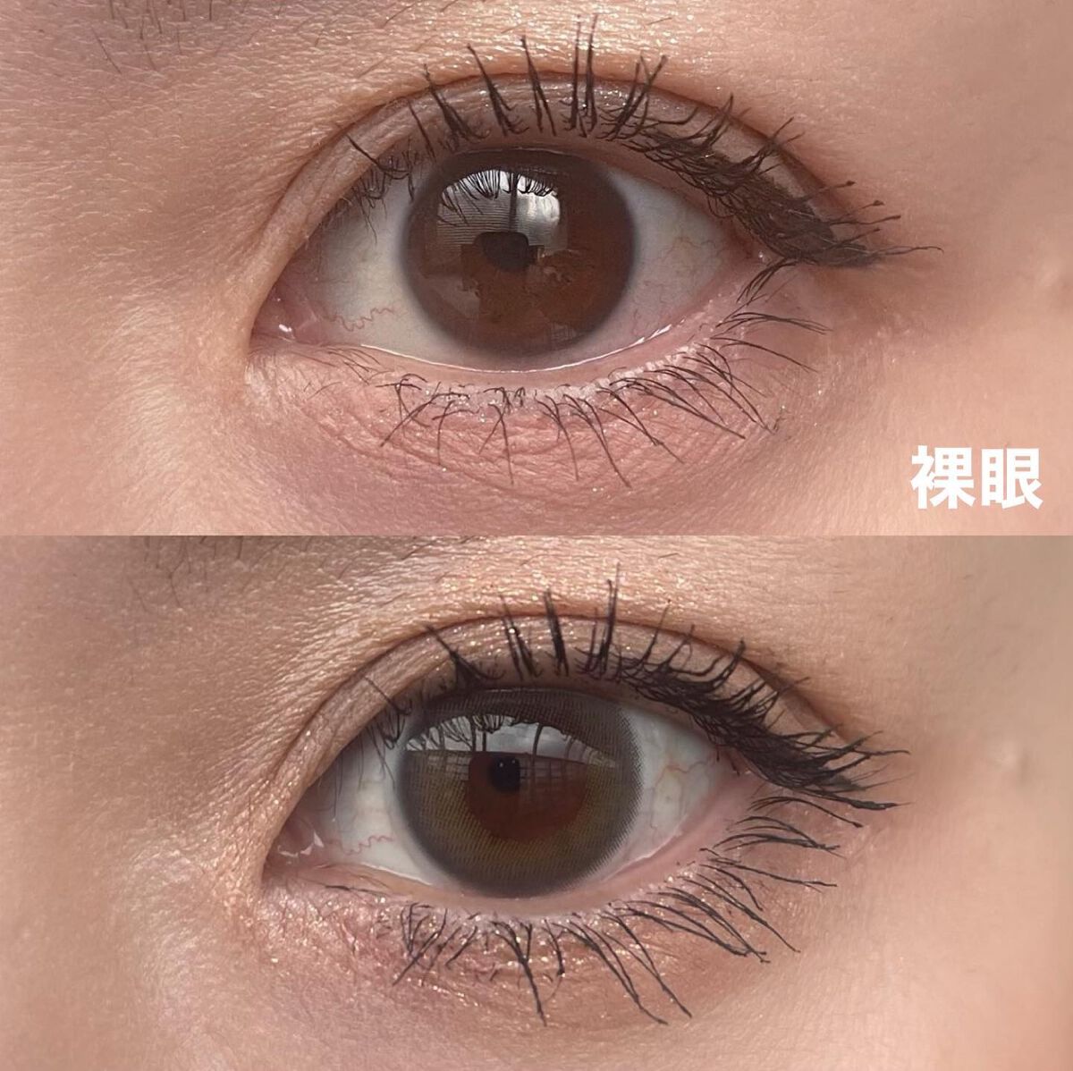 ReVIA 1day/ReVIA/ワンデー（１DAY）カラコンを使ったクチコミ（3枚目）