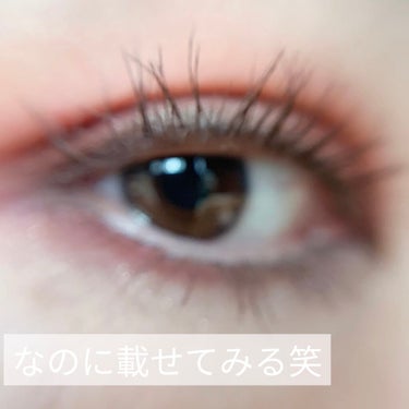 ジャスト ピーチィ ベルベット マット アイシャドウ パレット/Too Faced/アイシャドウパレットを使ったクチコミ（8枚目）