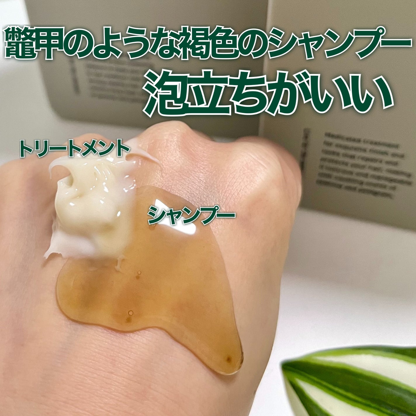 薬用ヘアシャンプー&トリートメント/AKNIR/市販シャンプーを使ったクチコミ(3枚目)