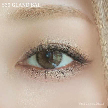 【旧】サンク クルール クチュール/Dior/アイシャドウパレットを使ったクチコミ(9枚目)