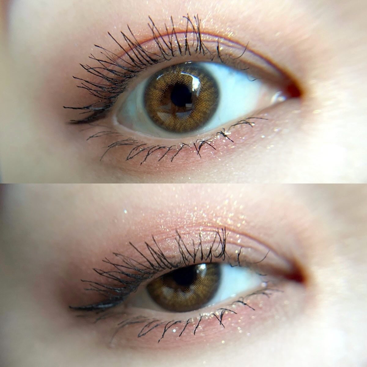 MOLAK 1day/MOLAK/ワンデー(1DAY)カラコンを使ったクチコミ(1枚目)