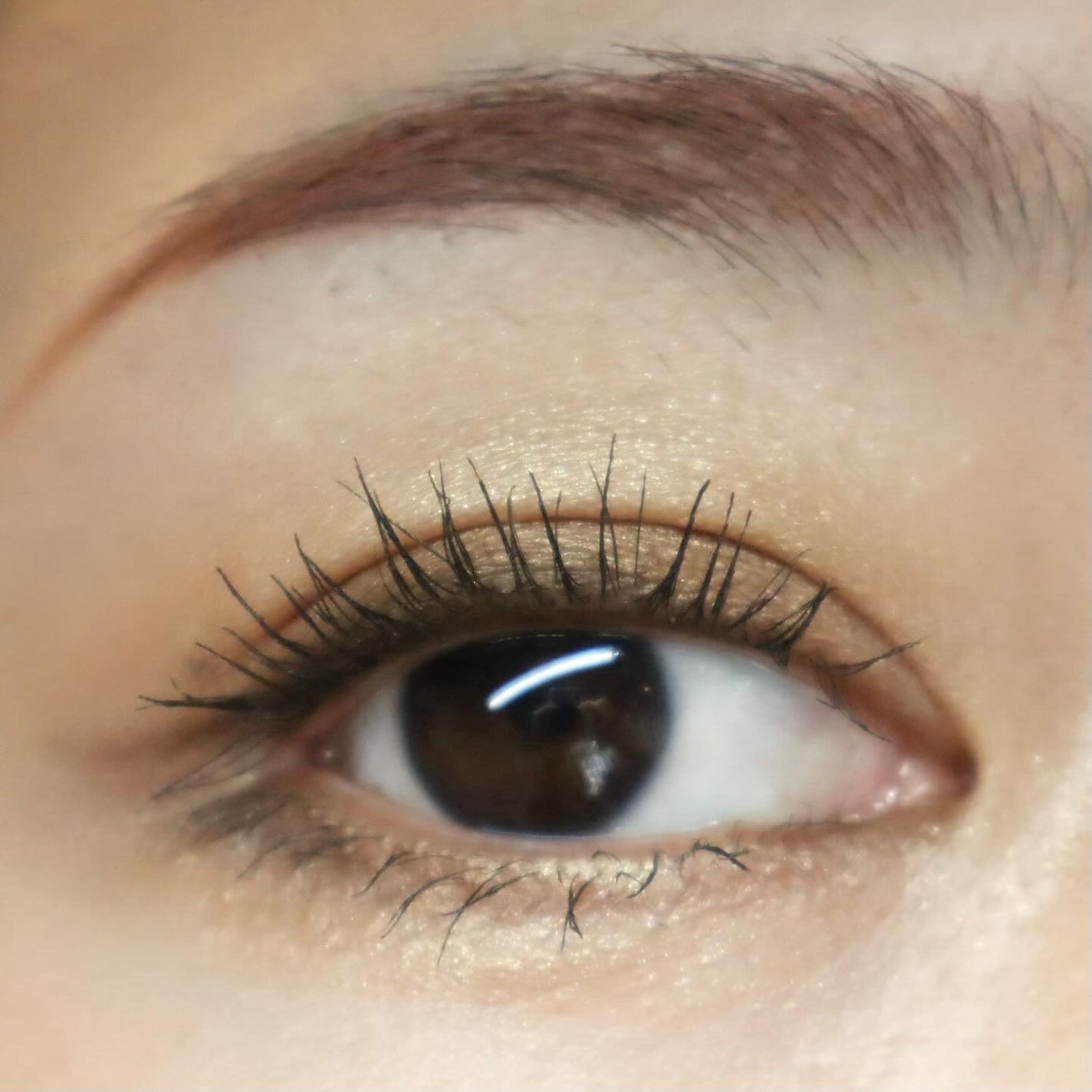 フォートーンズスタイリングアイズ/オルビス/パウダーアイブロウを使ったクチコミ(6枚目)