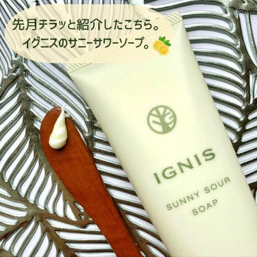 サニーサワー ソープ/IGNIS/洗顔フォームを使ったクチコミ（2枚目）