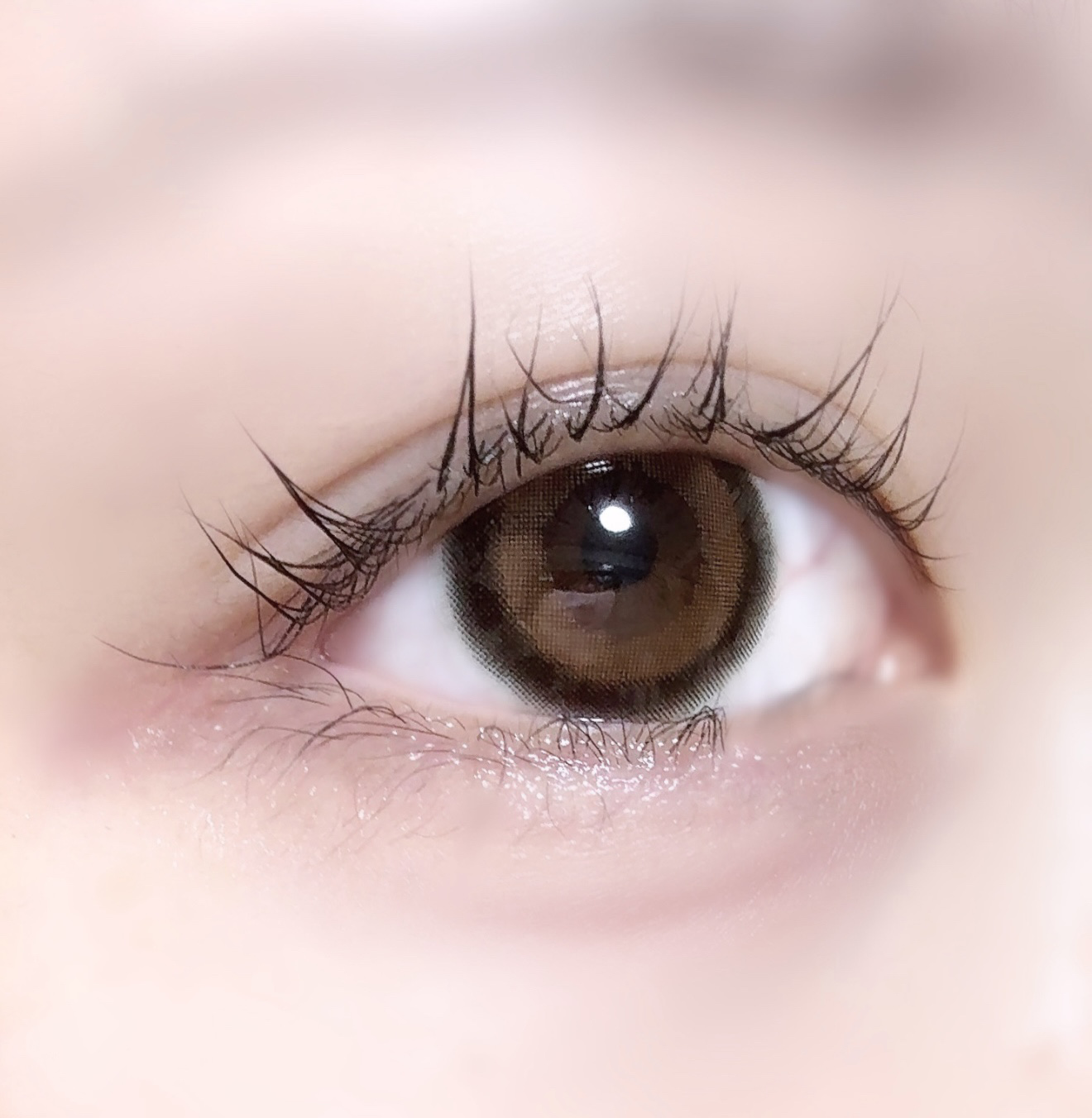 candymagic1day（キャンディーマジックワンデー） ミミブラウン/candy magic/ワンデー（１DAY）カラコンを使ったクチコミ（1枚目）