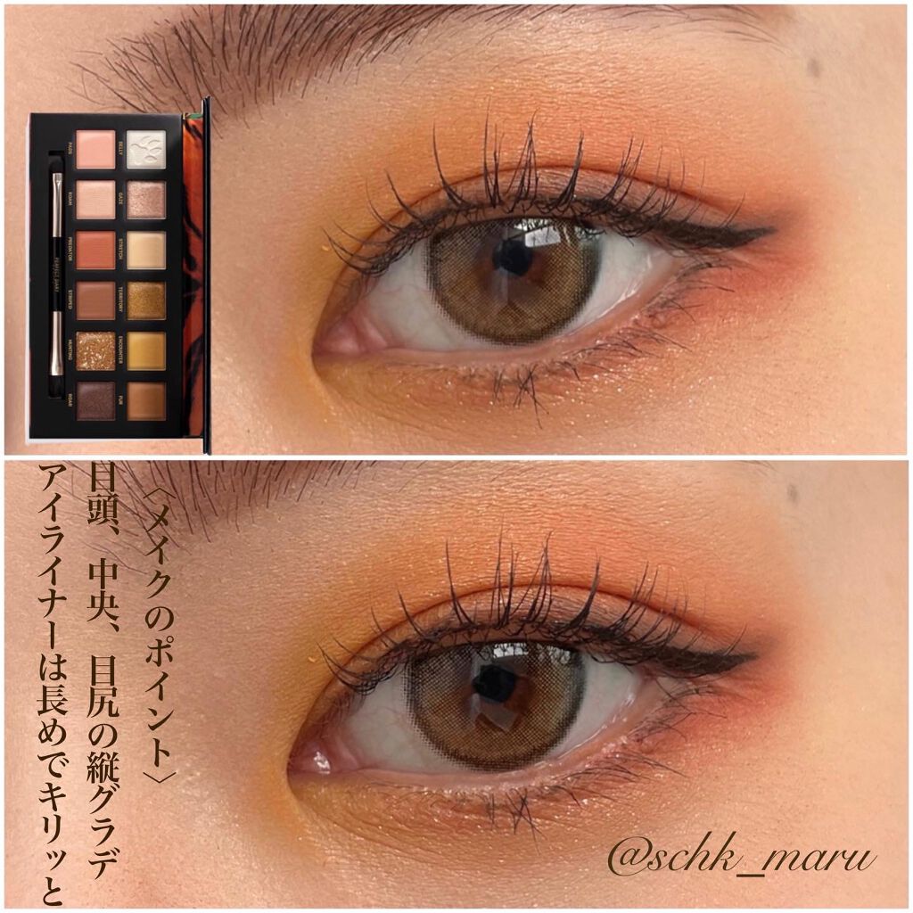 エクスプローラ12色 動物アイシャドウパレット/PERFECT DIARY/アイシャドウパレットを使ったクチコミ(4枚目)