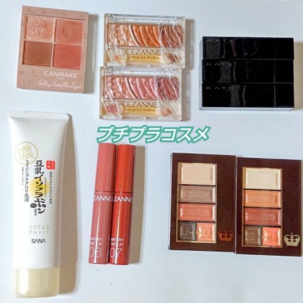 トーンアップアイシャドウ/CEZANNE/アイシャドウパレットを使ったクチコミ(9枚目)