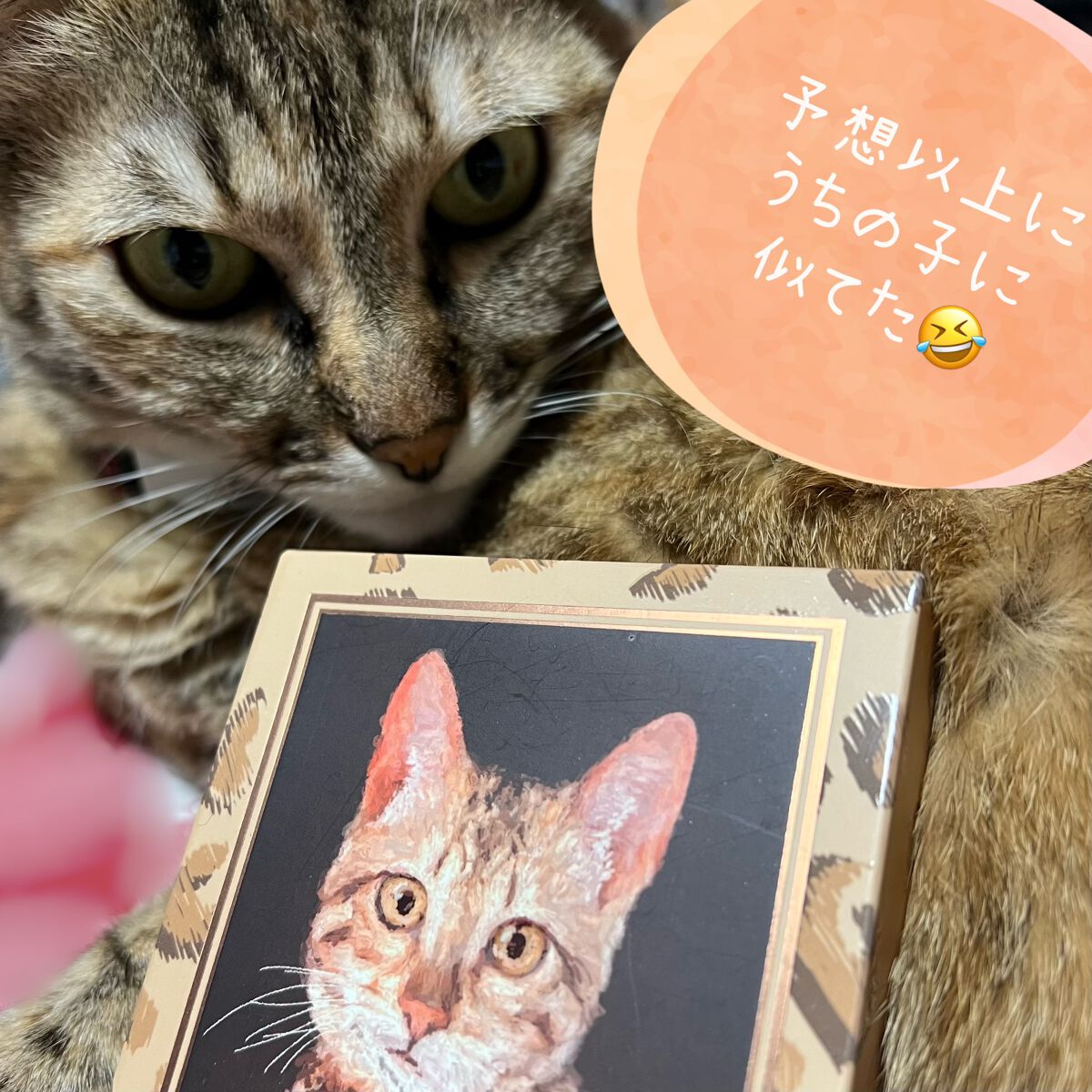 Venus Marble アイシャドウキャットシリーズ/Venus Marble/アイシャドウパレットを使ったクチコミ(1枚目)