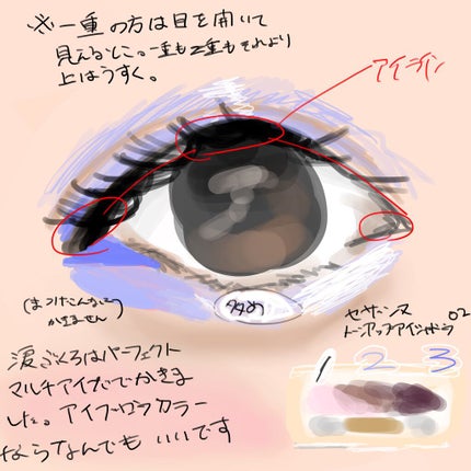 ナチュラル チークN/CEZANNE/パウダーチークを使ったクチコミ(2枚目)