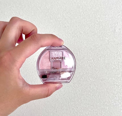 プランぷくコーデアイズ/キャンメイク/パウダーアイシャドウを使ったクチコミ(1枚目)