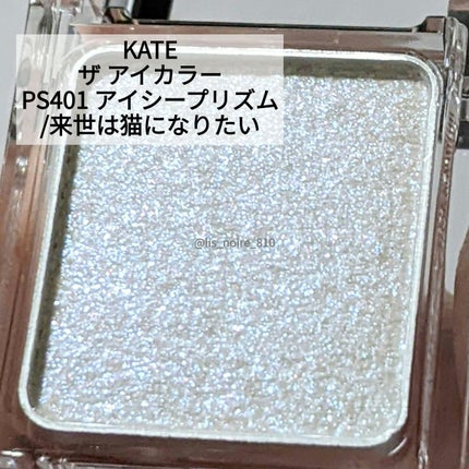 ケイト ザ アイカラー/KATE/単色アイシャドウを使ったクチコミ(2枚目)