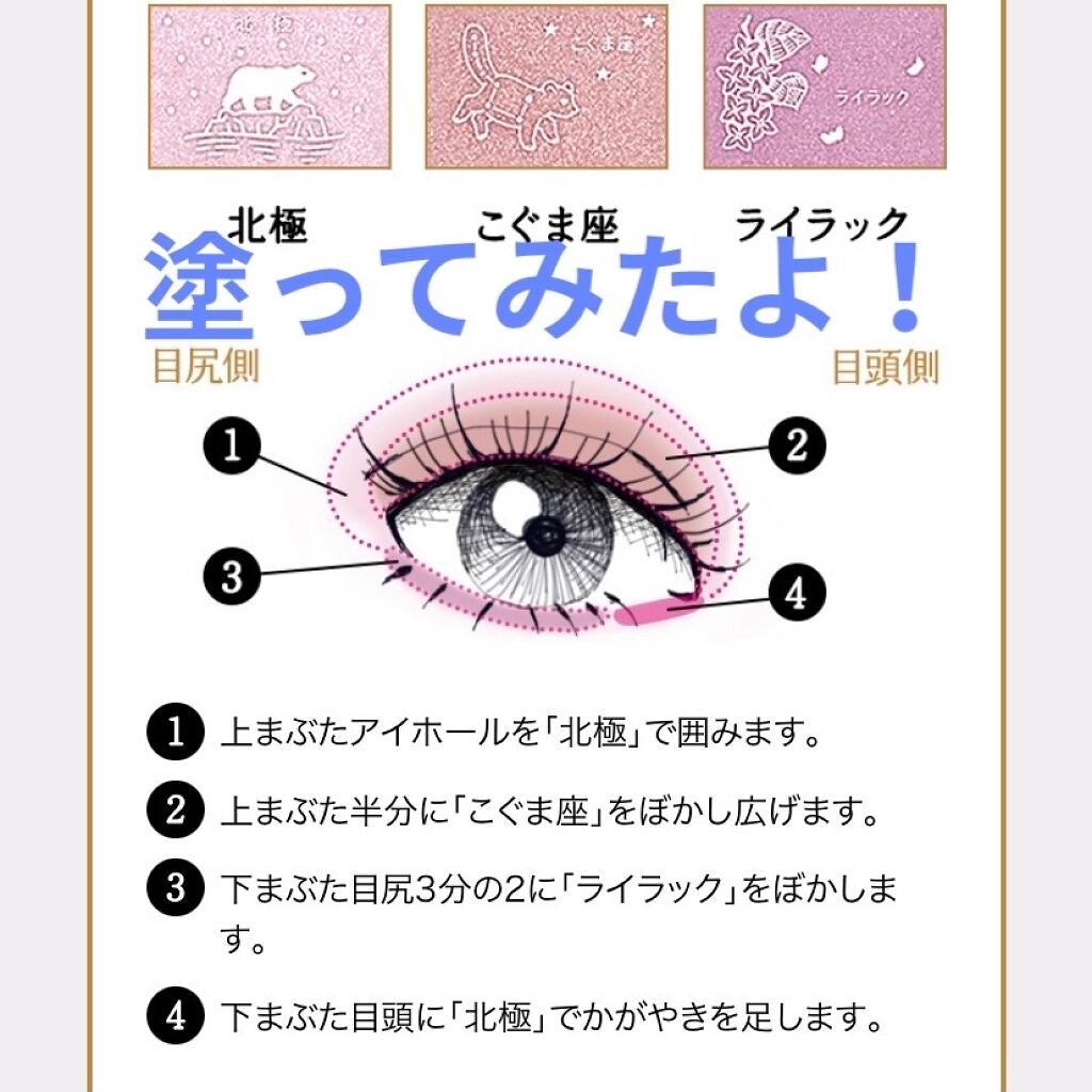 ナイストゥミーチュートランク/MAJOLICA MAJORCA/アイシャドウパレットを使ったクチコミ(1枚目)