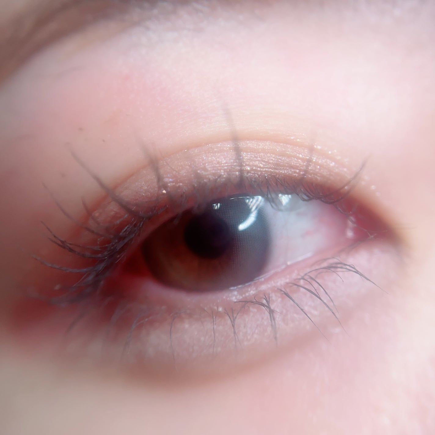 カールフィックスマスカラ/ETUDE/マスカラを使ったクチコミ(2枚目)