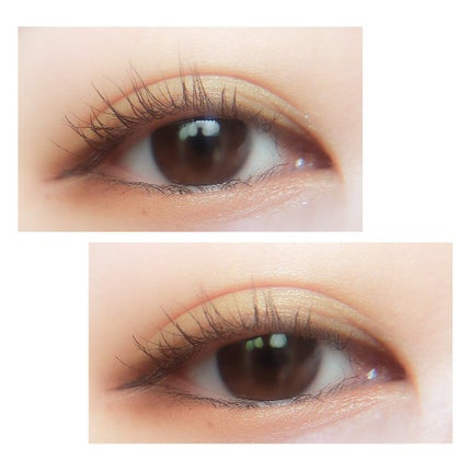 ラッシュエキスパンダー エッジマイスター F/MAJOLICA MAJORCA/マスカラを使ったクチコミ(5枚目)