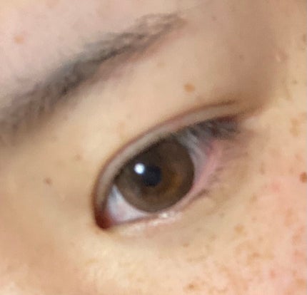 feliamo 1day/feliamo/ワンデー(1DAY)カラコンを使ったクチコミ(2枚目)