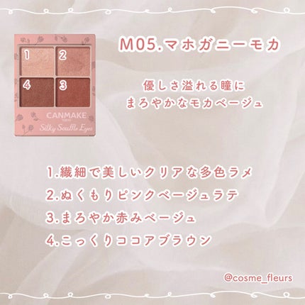 シルキースフレアイズ(マットタイプ)/キャンメイク/アイシャドウパレットを使ったクチコミ(5枚目)