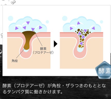 ディープクリア洗顔パウダー/ファンケル/洗顔パウダーを使ったクチコミ(4枚目)