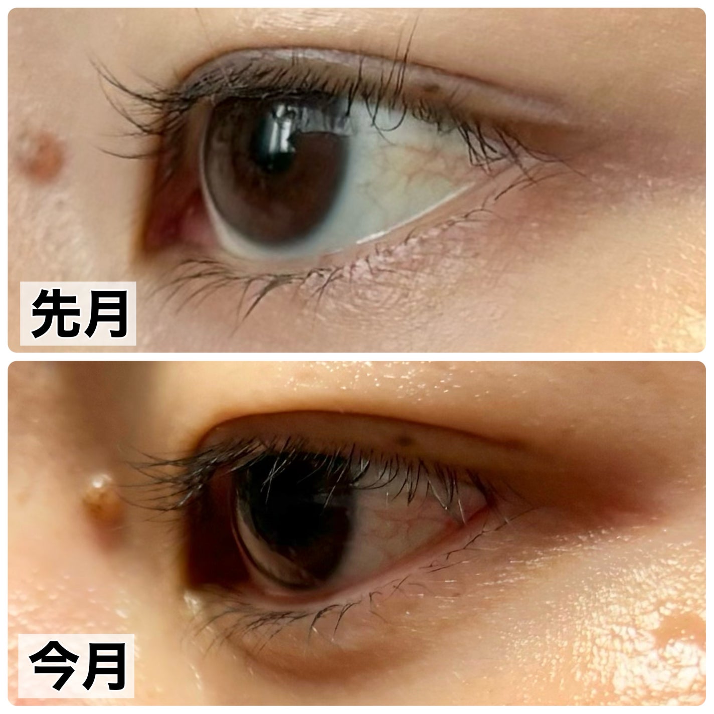 ラッシュルーティーン/キャンメイク/まつげ美容液を使ったクチコミ(3枚目)