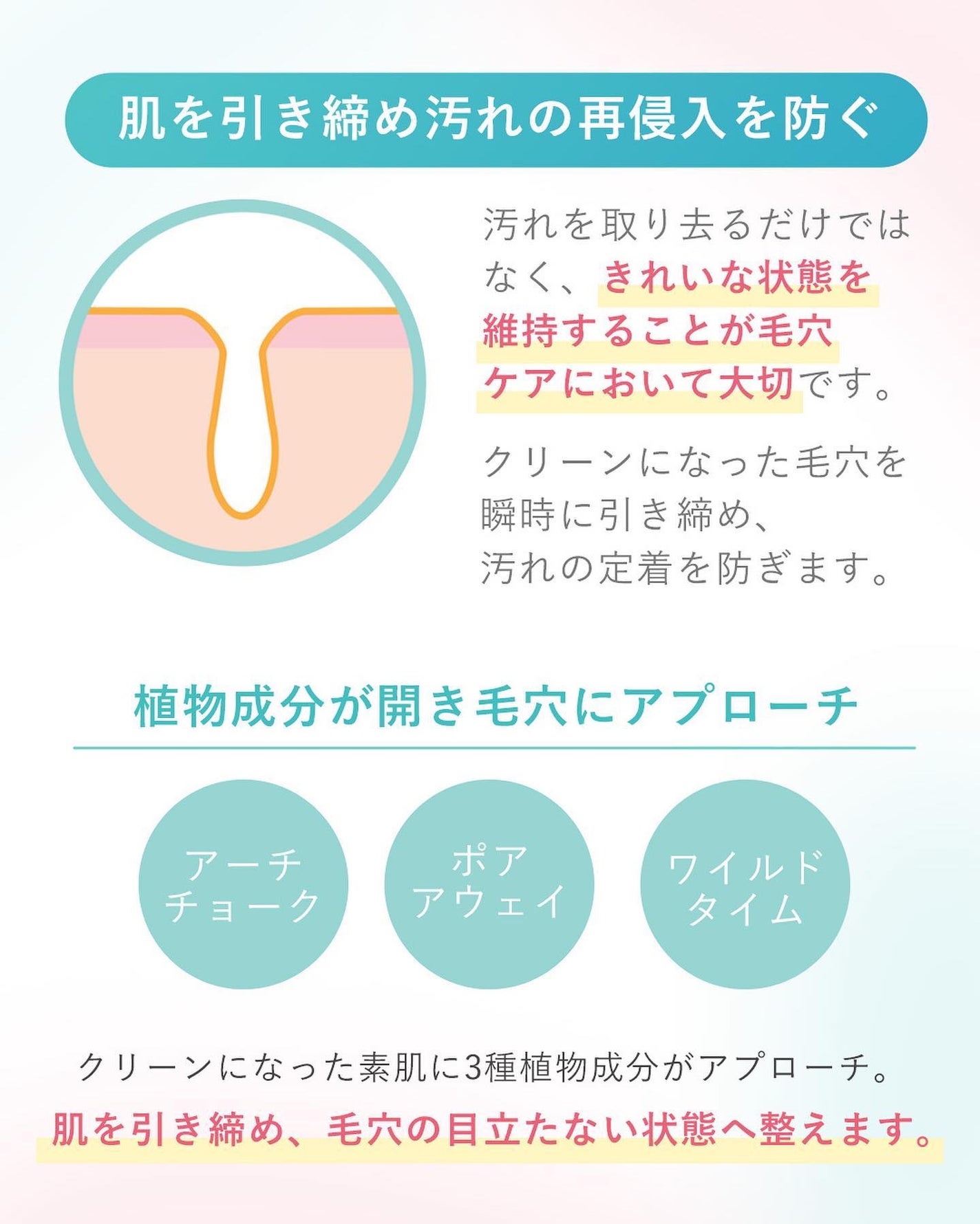 BLACK JELLY WASH(ブラックジェリーウォッシュ)/PLUEST/その他洗顔料を使ったクチコミ(3枚目)