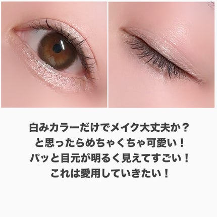 (ルシャブートコレクション)チーク&アイ マルチユーズ パレット/Dinto/パウダーチークを使ったクチコミ(5枚目)