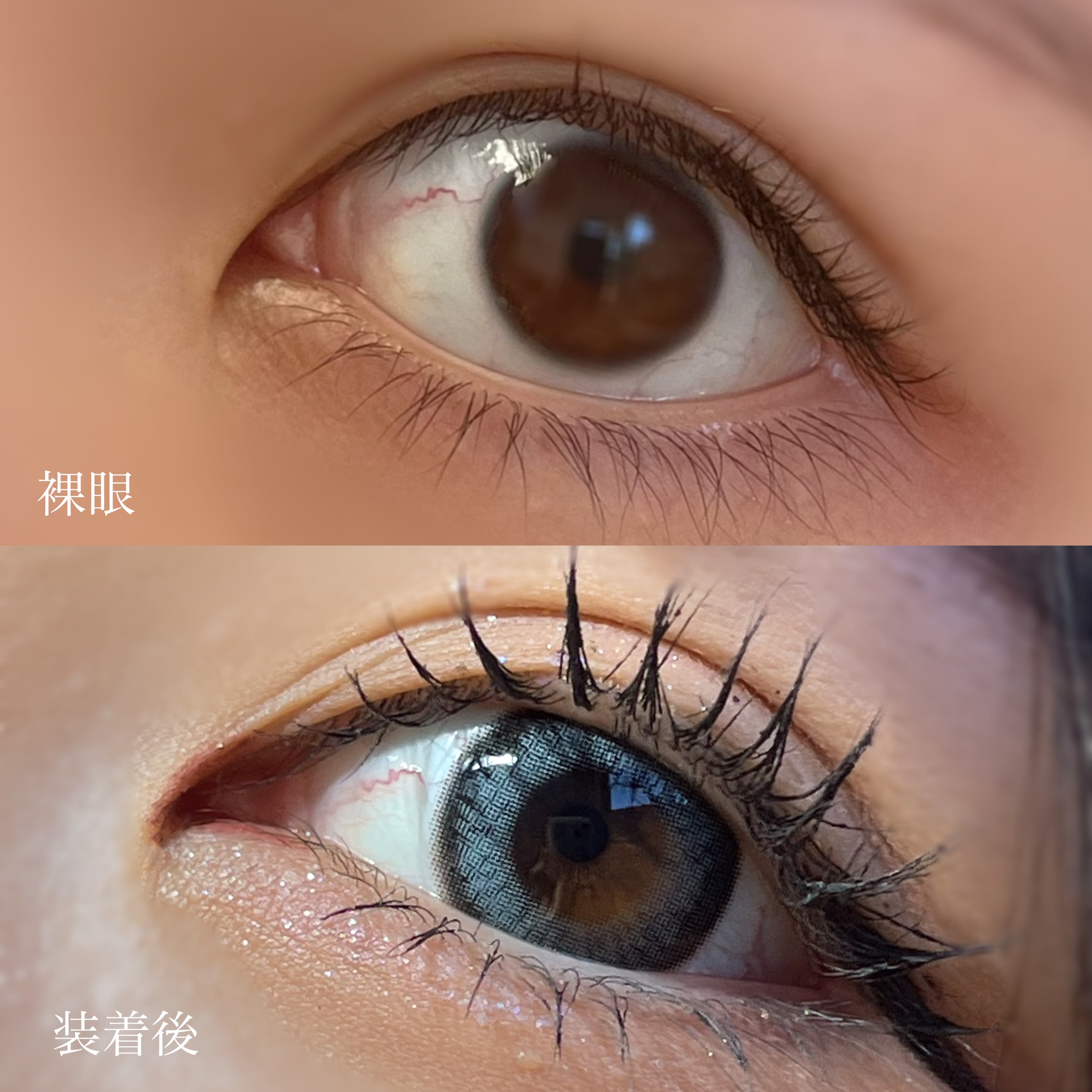 メランジェ シュエット ワンデー/melange+chouette/ワンデー（１DAY）カラコンを使ったクチコミ（3枚目）