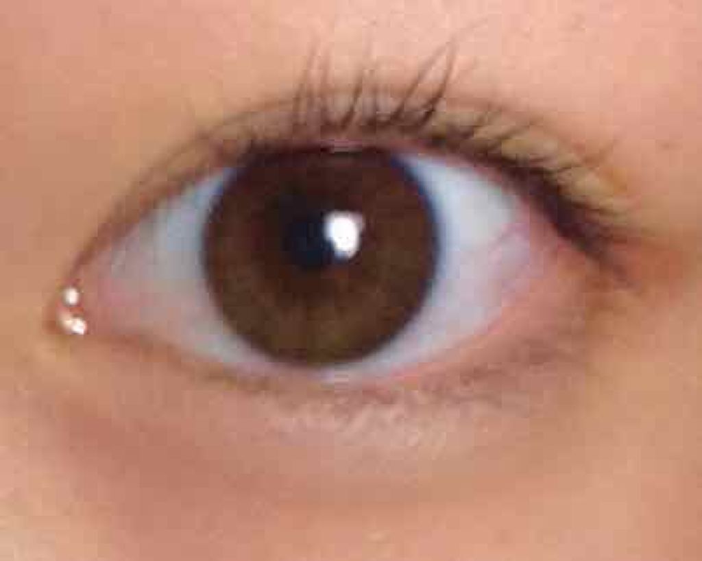 クイックラッシュカーラー/キャンメイク/マスカラ下地を使ったクチコミ（3枚目）