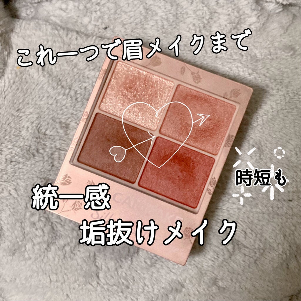 シルキースフレアイズ(マットタイプ)/キャンメイク/アイシャドウパレットを使ったクチコミ(1枚目)