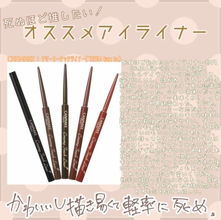 クリーミータッチライナー/キャンメイク/ジェルアイライナーを使ったクチコミ(1枚目)