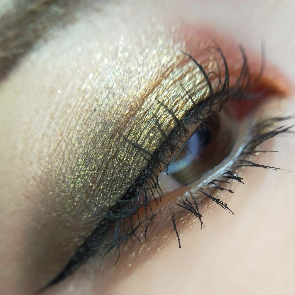 エクスプローラ12色 動物アイシャドウパレット/PERFECT DIARY/アイシャドウパレットを使ったクチコミ（3枚目）