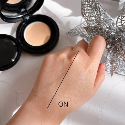 エステパック ソフトメッシュ ファンデーション/ステファニー/その他ファンデーションを使ったクチコミ(5枚目)