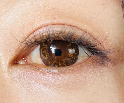 インウイ アイズ/INOUI/アイシャドウパレットを使ったクチコミ(6枚目)