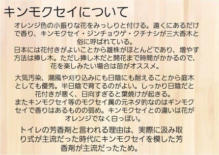 オスマンサス オードトワレ/L'OCCITANE/香水(レディース)を使ったクチコミ(4枚目)