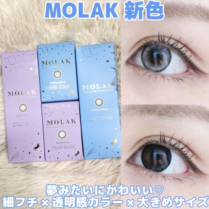 MOLAK 1day/MOLAK/ワンデー(1DAY)カラコンを使ったクチコミ(1枚目)