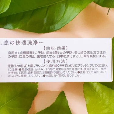 柿のさち  薬用柿渋ハミガキ/マックス石鹸/歯磨き粉を使ったクチコミ（8枚目）