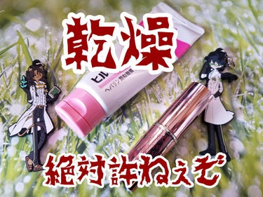 ヒルマイルドクリーム(医薬品)/健栄製薬/その他を使ったクチコミ（1枚目）