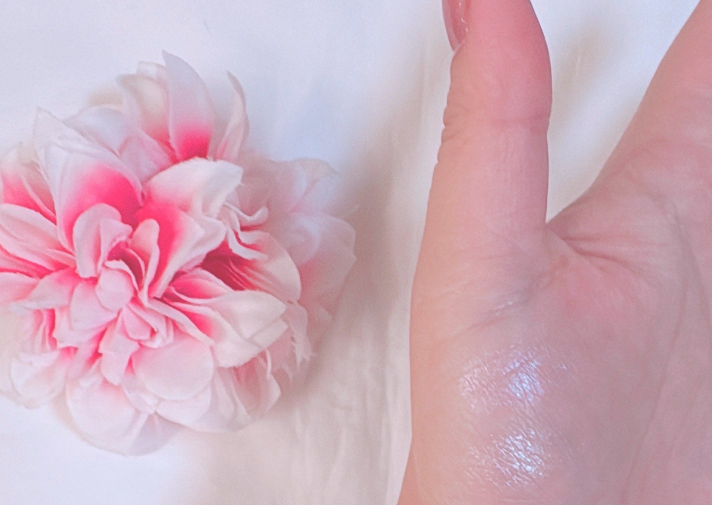 デュアルチーク/2aN/パウダーチークを使ったクチコミ(2枚目)