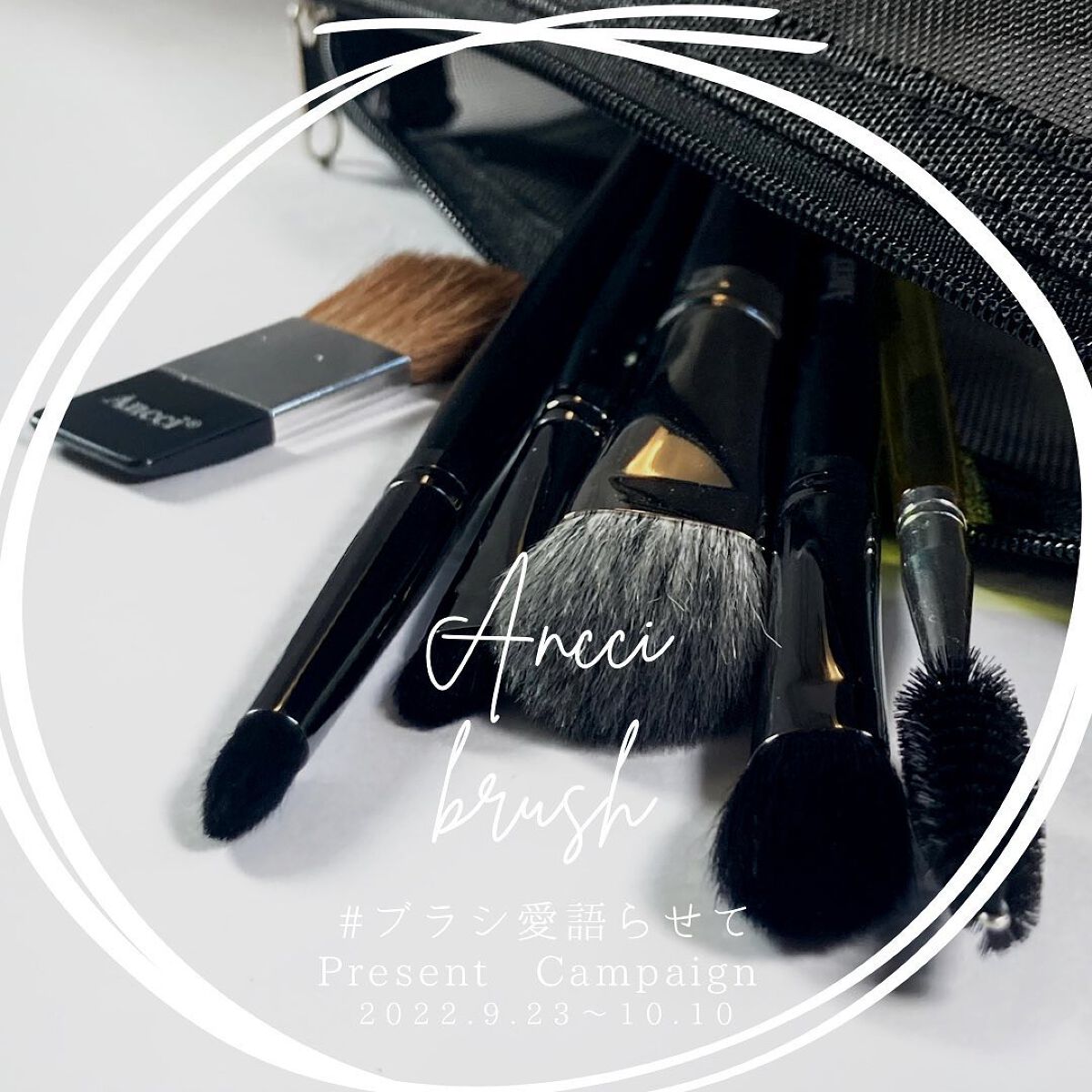 試してみた】Ebony 05 Ancci brushのリアルな口コミ・レビュー | LIPS