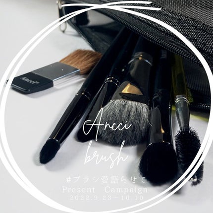 Ebony 05/Ancci brush/メイクブラシを使ったクチコミ(1枚目)