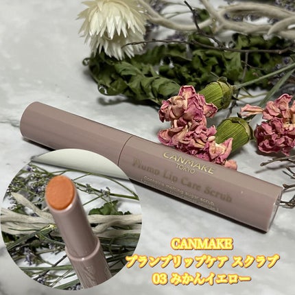 プランプリップケアスクラブ/キャンメイク/リップスクラブを使ったクチコミ(1枚目)