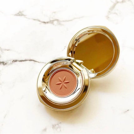 AQ アイシャドウ/DECORTÉ/単色アイシャドウを使ったクチコミ(1枚目)