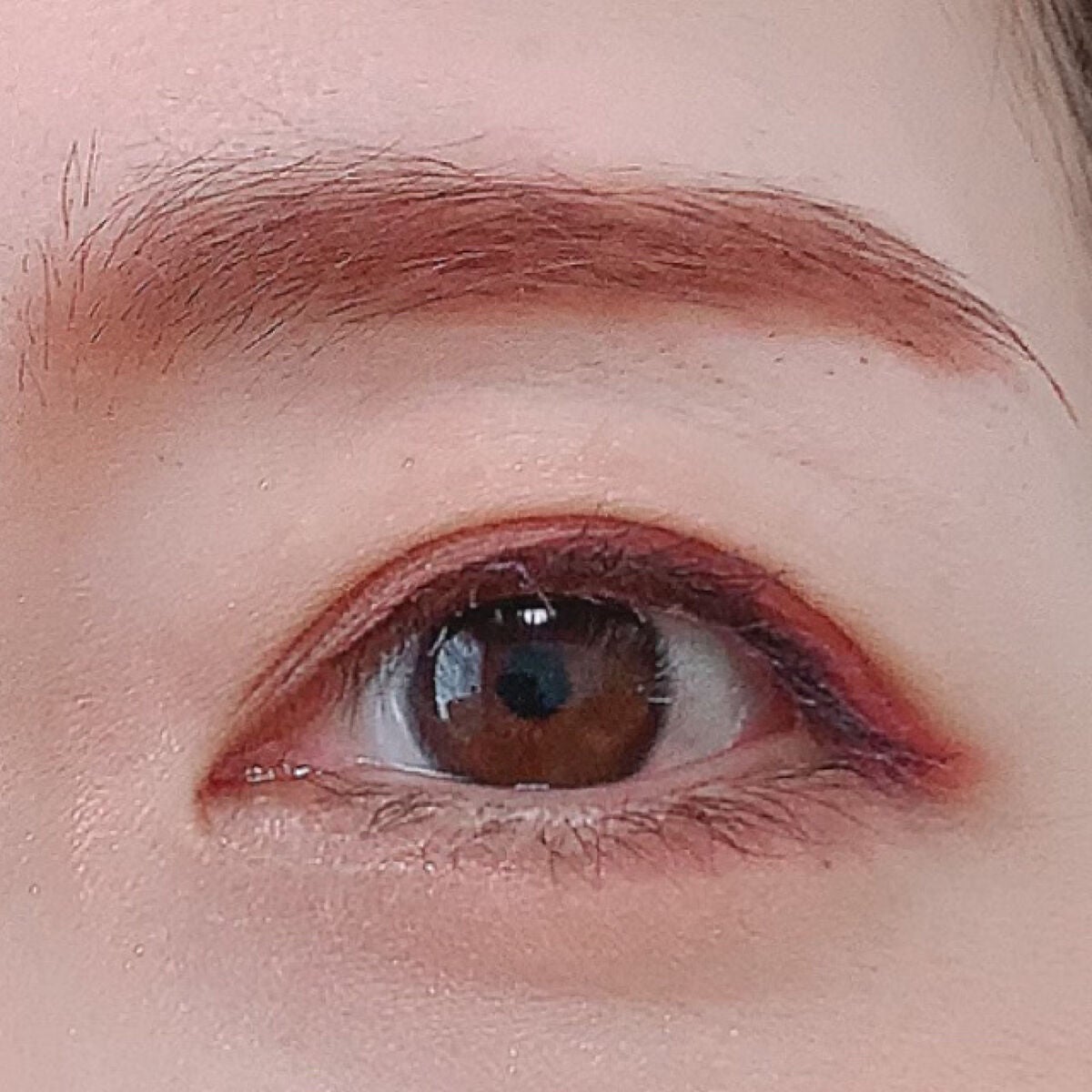 アイカラーレーション/LUNASOL/アイシャドウパレットを使ったクチコミ(3枚目)