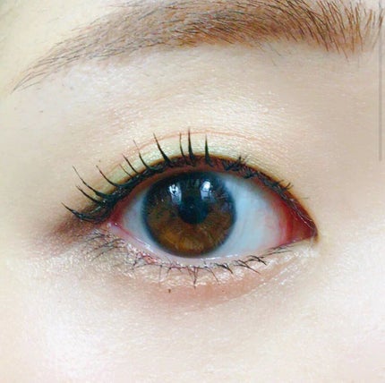 フラロッソ インテンソ アイシャドウ/アスタリフト/アイシャドウパレットを使ったクチコミ(1枚目)