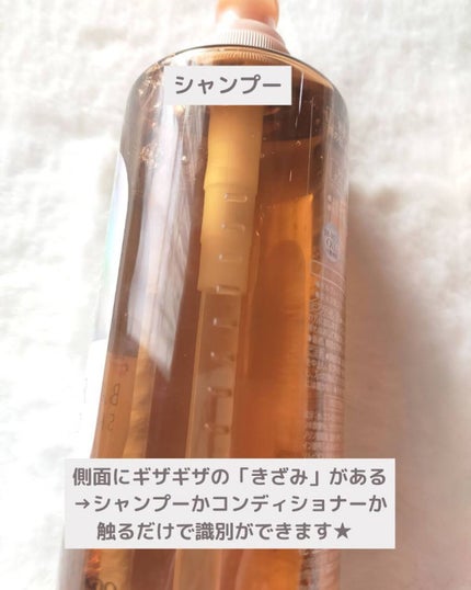 ã¶ãã¥ãŒã㣠髪ã®ãã¡çŸå®¹çŽ é«ªãå®ã ããªã¢ã·ã£ã³ããŒ/ã³ã³ãã£ã·ã§ããŒ/ãšãã»ã³ã·ã£ã«/ã·ã£ã³ããŒã»ã³ã³ãã£ã·ã§ããŒã䜿ã£ãã¯ãã³ãïŒ3æç®ïŒ