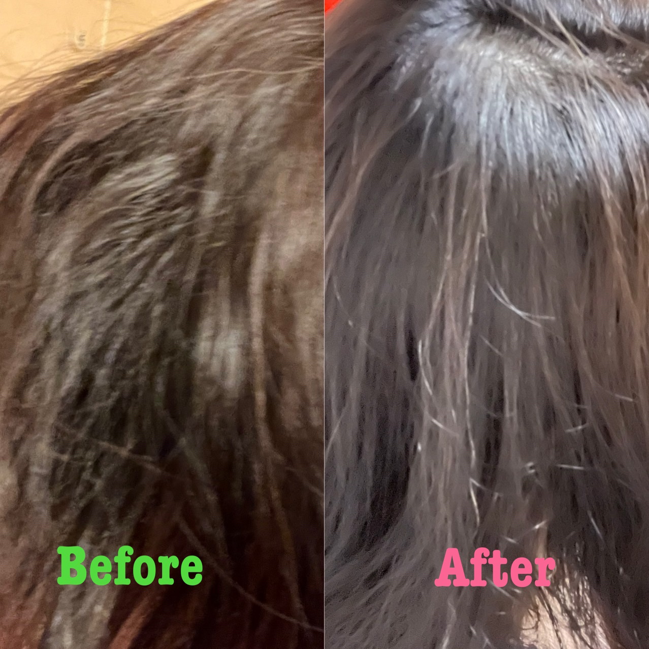 KAMIKA ベルガモットジャスミンの香り/KAMIKA/サロンシャンプーを使ったクチコミ（3枚目）