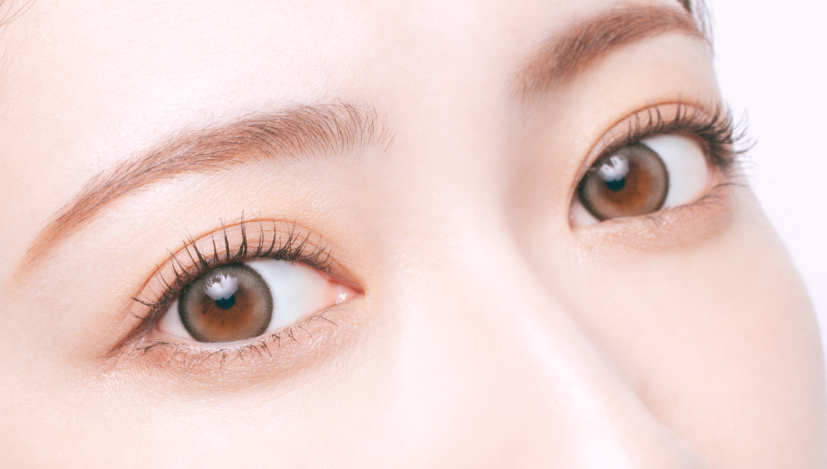 melotte 1day キャットリング