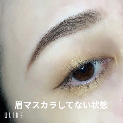 アイブロウ ブラシ/ADDICTION/メイクブラシを使ったクチコミ(5枚目)