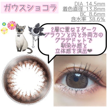 eye closet 1DAY（アイクローゼット ワンデー）/EYE CLOSET/ワンデー（１DAY）カラコンを使ったクチコミ（6枚目）