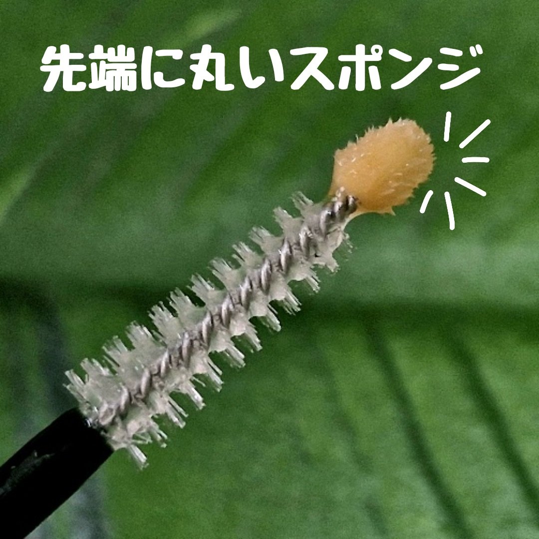 リバイブセラピー ヘアブロウラッシュセラム/ViveLab/まつげ美容液を使ったクチコミ（3枚目）