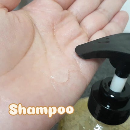 シトラスパ ネオスムース シャンプー/トリートメント/CITRUSPA/市販シャンプーを使ったクチコミ(5枚目)