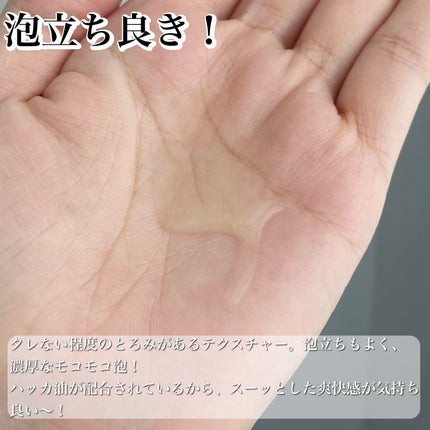 シャンプー クール/putelo/サロンシャンプーを使ったクチコミ(5枚目)